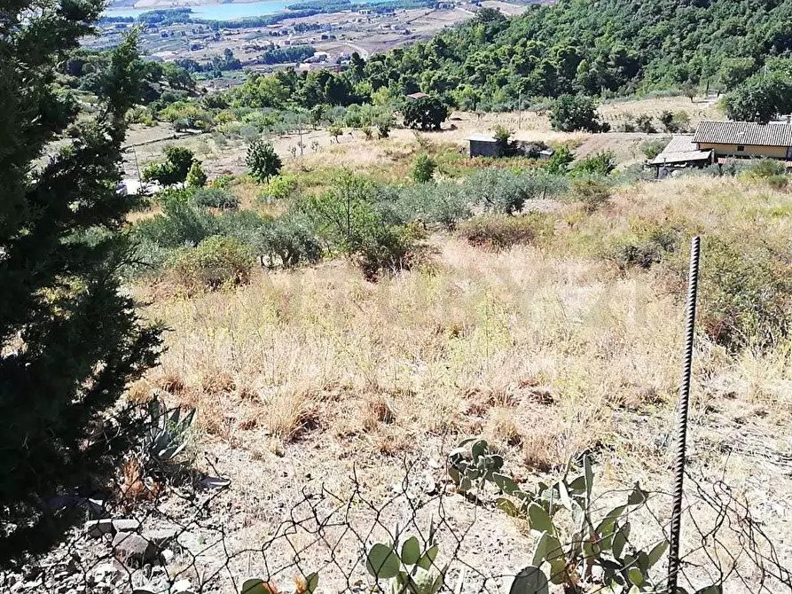 Immagine 5 di Terreno agricolo in vendita  in Contrada Saravulli San Mercurio snc a Piana Degli Albanesi