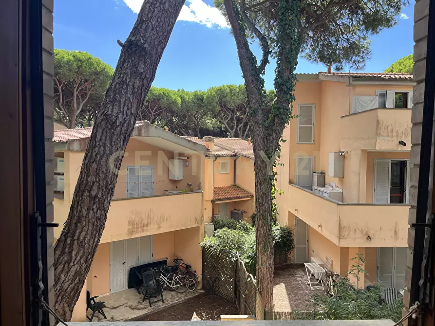 Immagine 19 di Pentalocale in vendita  in via delle ginevre 32a a Grosseto