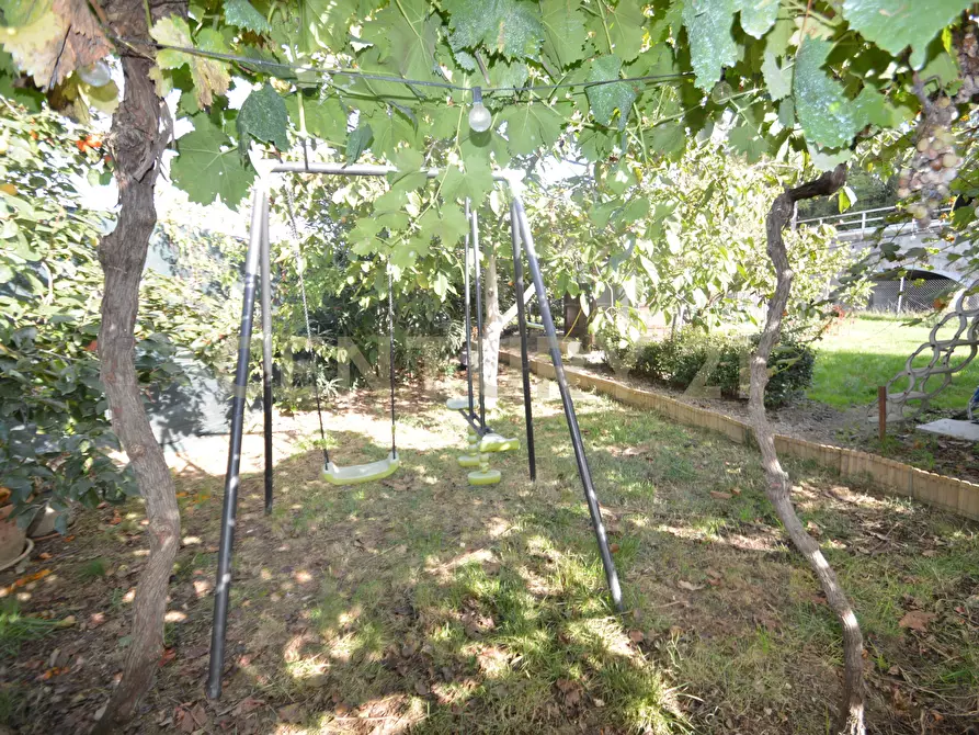 Immagine 18 di Terreno agricolo in vendita  in Via Alberto Sordi 12 a Grosseto