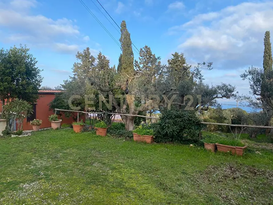 Immagine 1 di Casa indipendente in vendita  in Via della Grotta a Monte Argentario