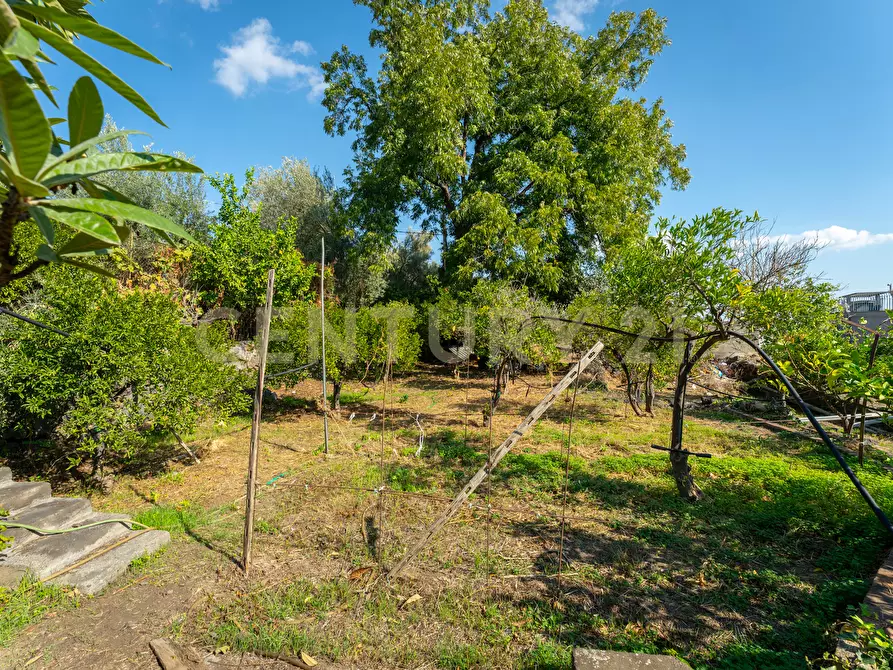 Immagine 24 di Villa in vendita  in Via di Bartolo a San Gregorio Di Catania