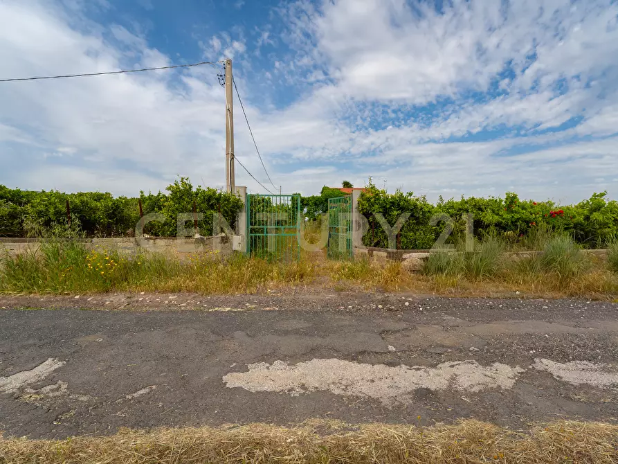 Immagine 18 di Rustico / casale in vendita  in Strada Provinciale 92 92 a Francofonte
