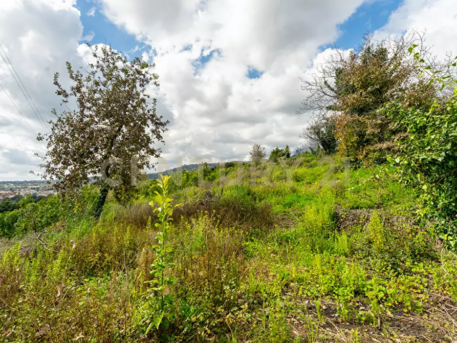 Immagine 25 di Terreno agricolo in vendita  in via giuseppe zinghirino 1 a Giarre