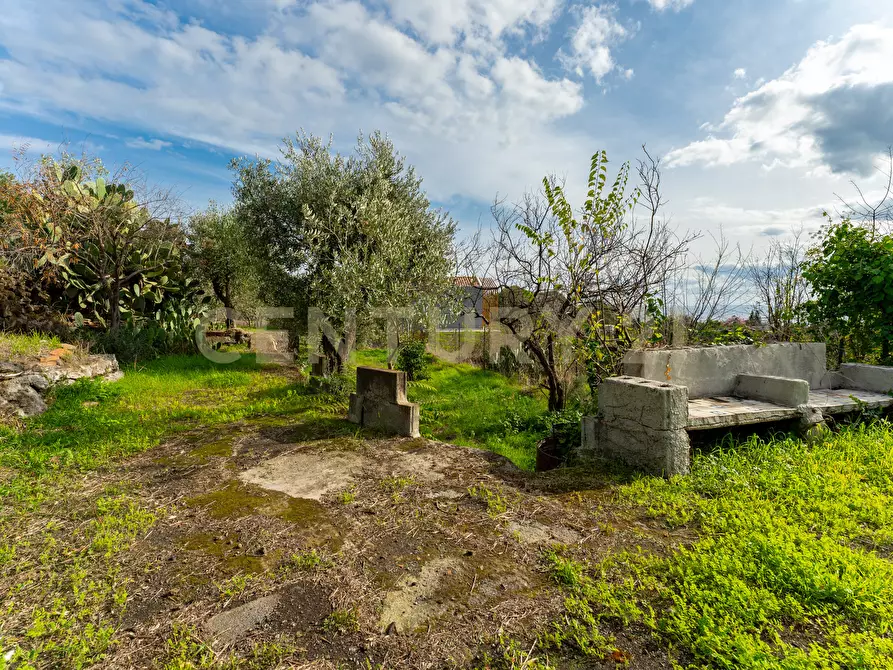 Immagine 18 di Terreno agricolo in vendita  in Via Cerza 35 a San Gregorio Di Catania