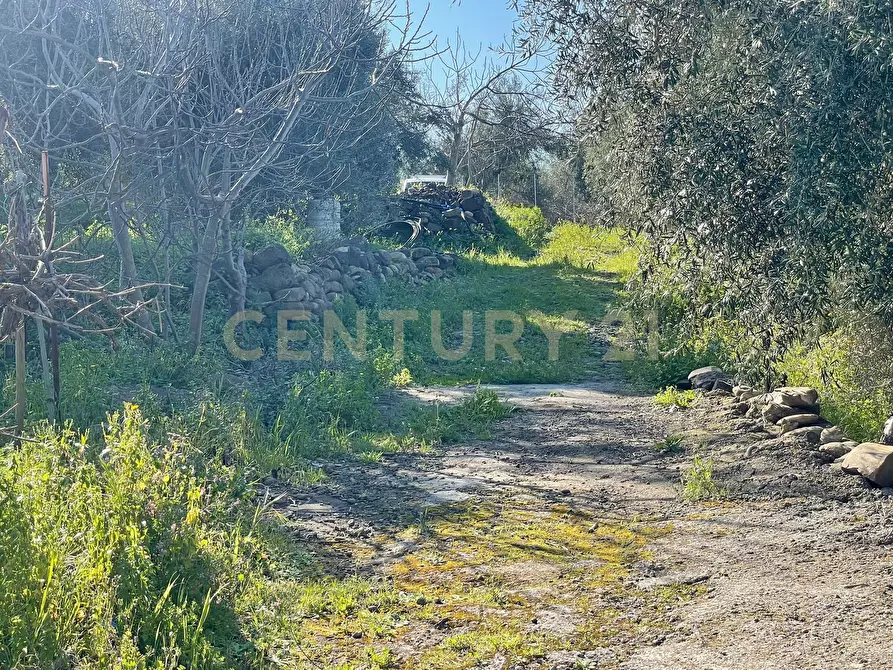Immagine 35 di Terreno agricolo in vendita  in contrada agnelleria a Belpasso