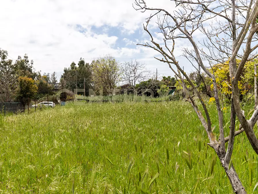 Immagine 19 di Terreno industriale in vendita  in Via dei Belfiore 4 a Valverde