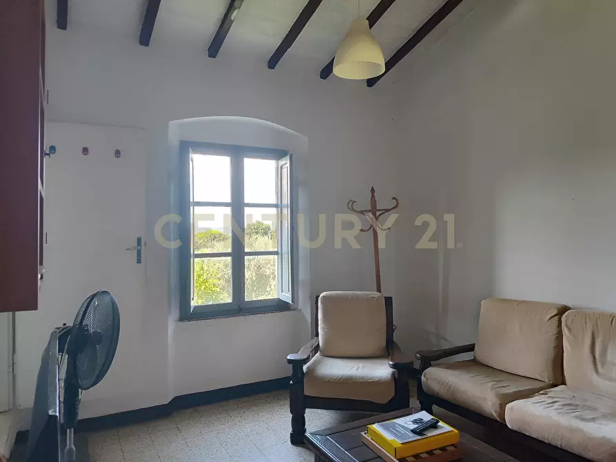 Immagine 11 di Rustico / casale in vendita  in località filare a Gavorrano