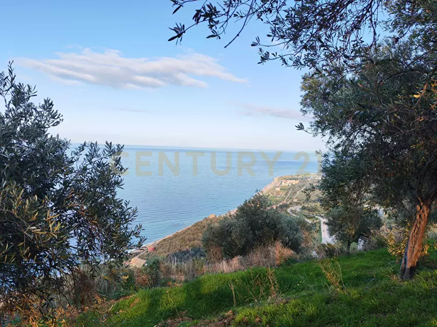 Immagine 32 di Attività artigianale in vendita  in Via Santisi a Motta D'affermo