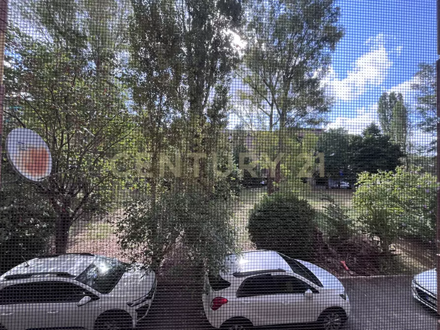 Immagine 31 di Trilocale in vendita  in Via Giuseppe Toniolo 13 a Grosseto