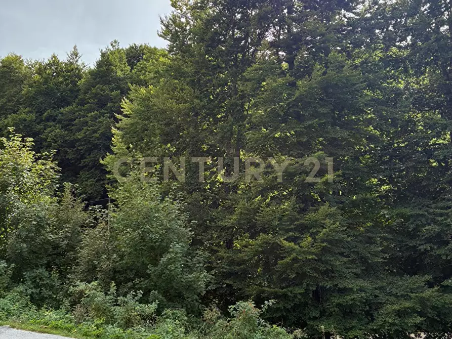 Immagine 6 di Casa indipendente in vendita  in Via morbano a Cappadocia