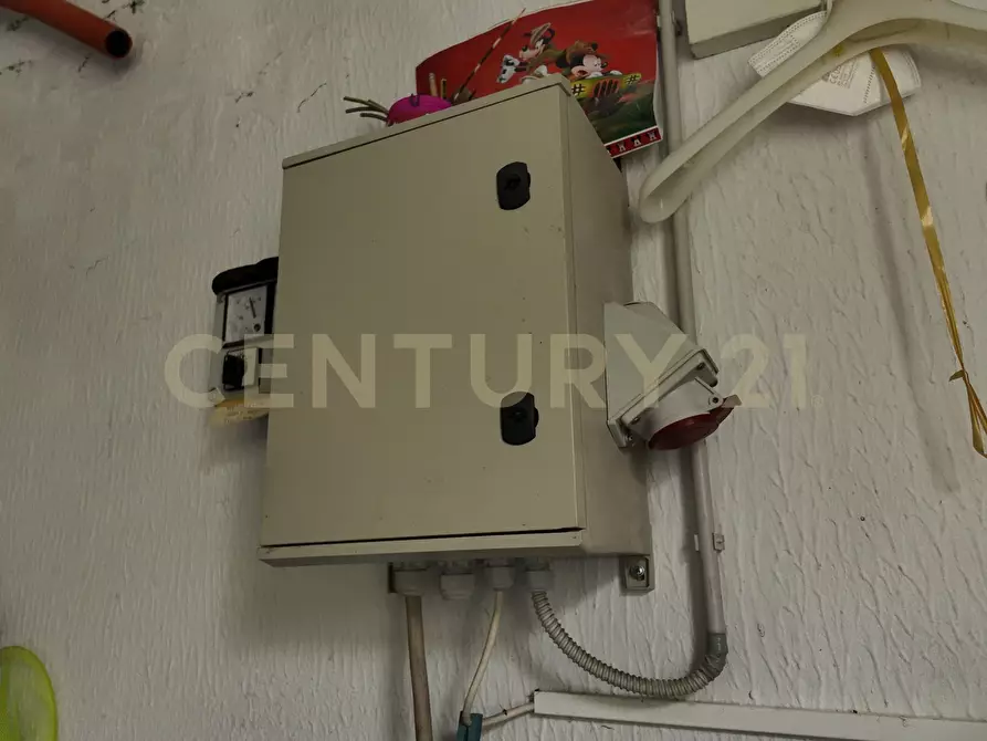 Immagine 15 di Terreno agricolo in vendita  in Contrada malvezzaro a Santa Maria Di Licodia