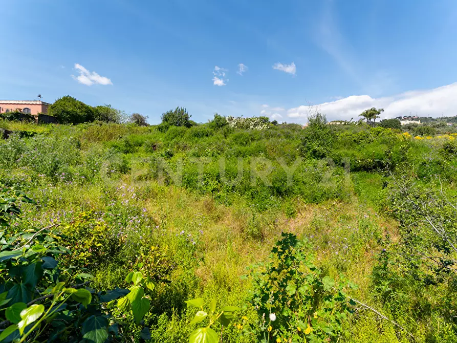 Immagine 25 di Villa in vendita  in Via Nino Martoglio S.N. a Aci Castello