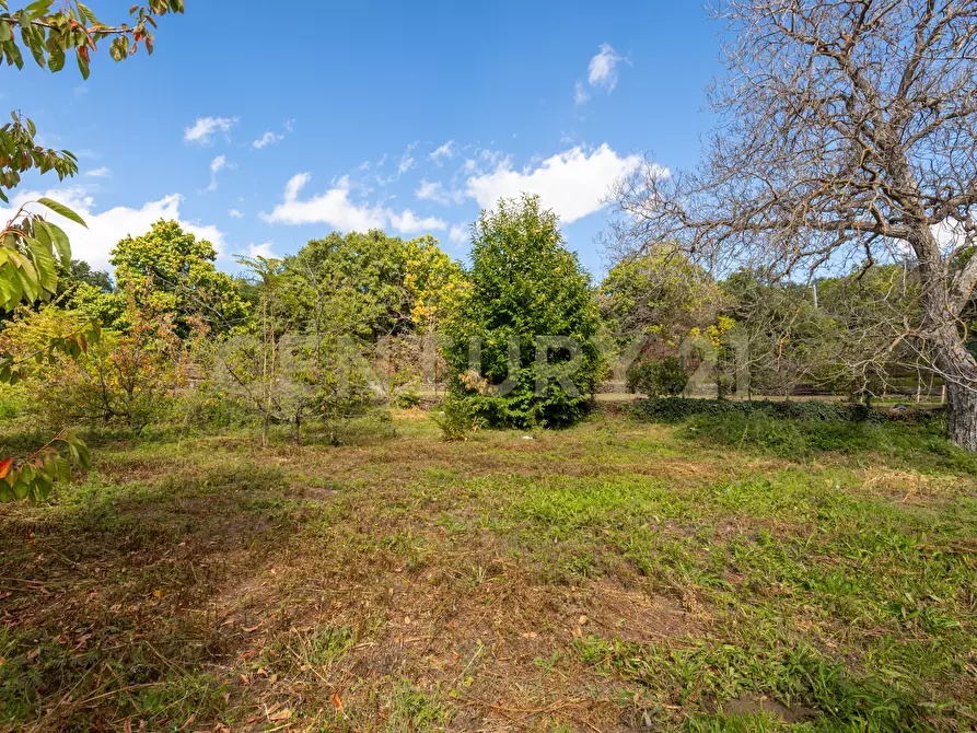 Immagine 28 di Villa in vendita  in Contrada Scolaro Cisterna a Adrano