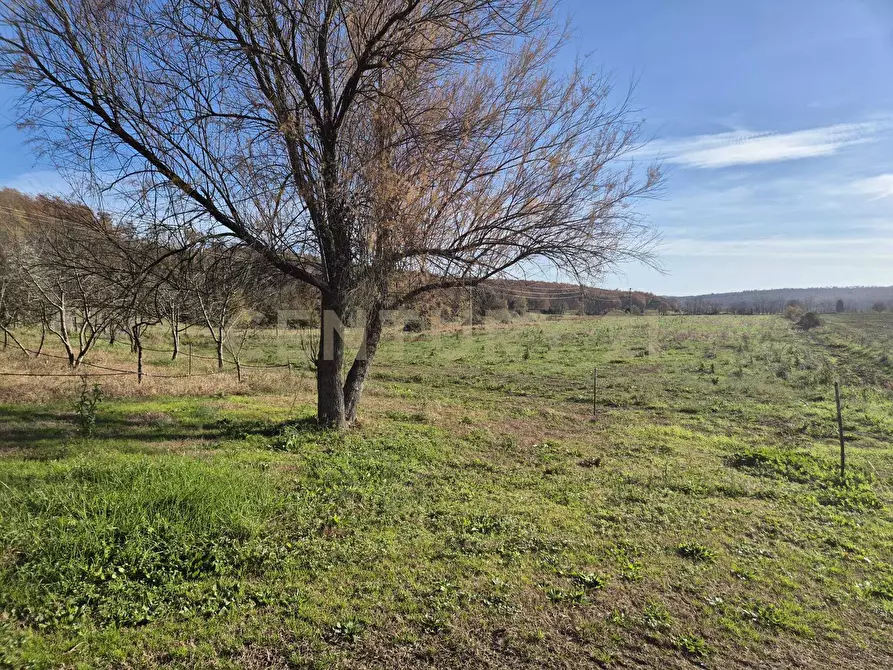 Immagine 26 di Rustico / casale in vendita  in località aratrice a Civitella Paganico