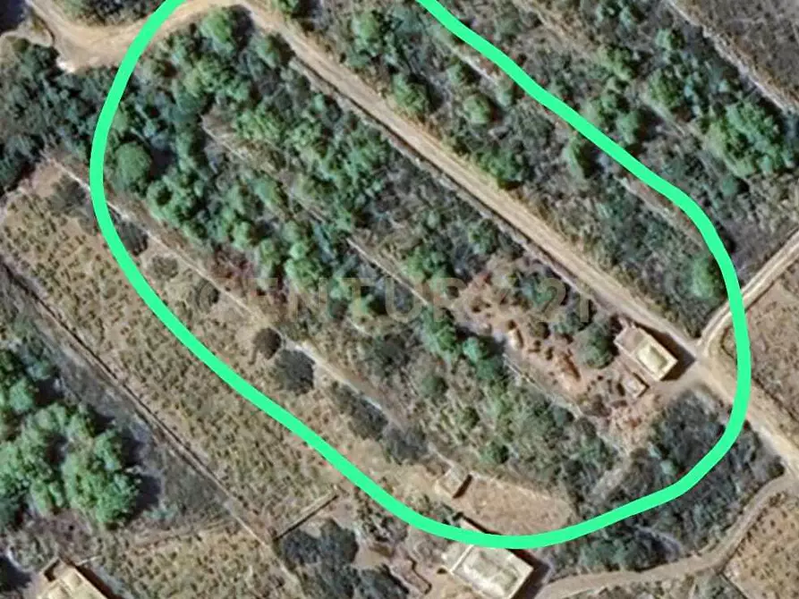 Immagine 7 di Casa indipendente in vendita  in Vicolo del Tufo 12 a Pantelleria