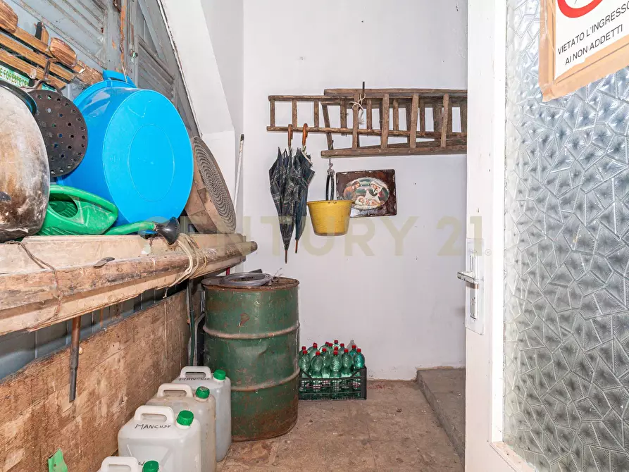 Immagine 11 di Terreno agricolo in vendita  in Contrada San Francesco snc a Paterno'