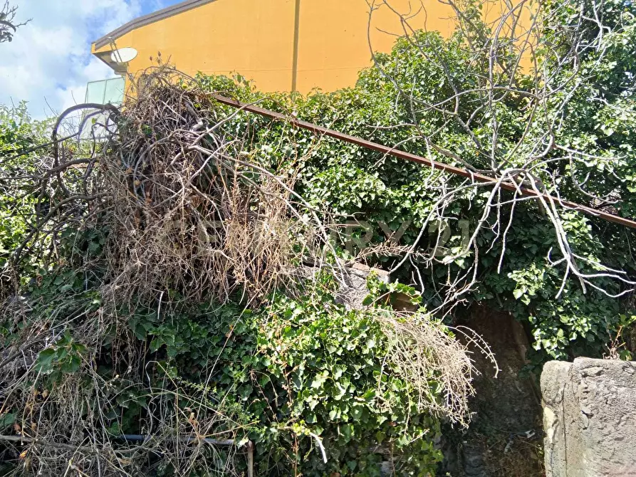 Immagine 4 di Rustico / casale in vendita  in Via Maugeri 12 a Valverde