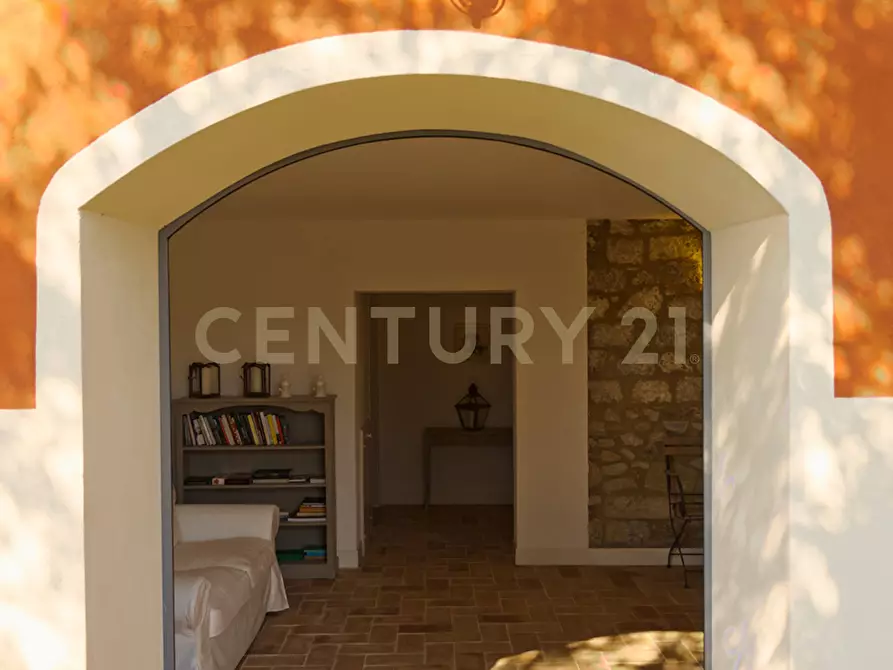 Immagine 17 di Rustico / casale in vendita  in località podere bizzarri a Scarlino