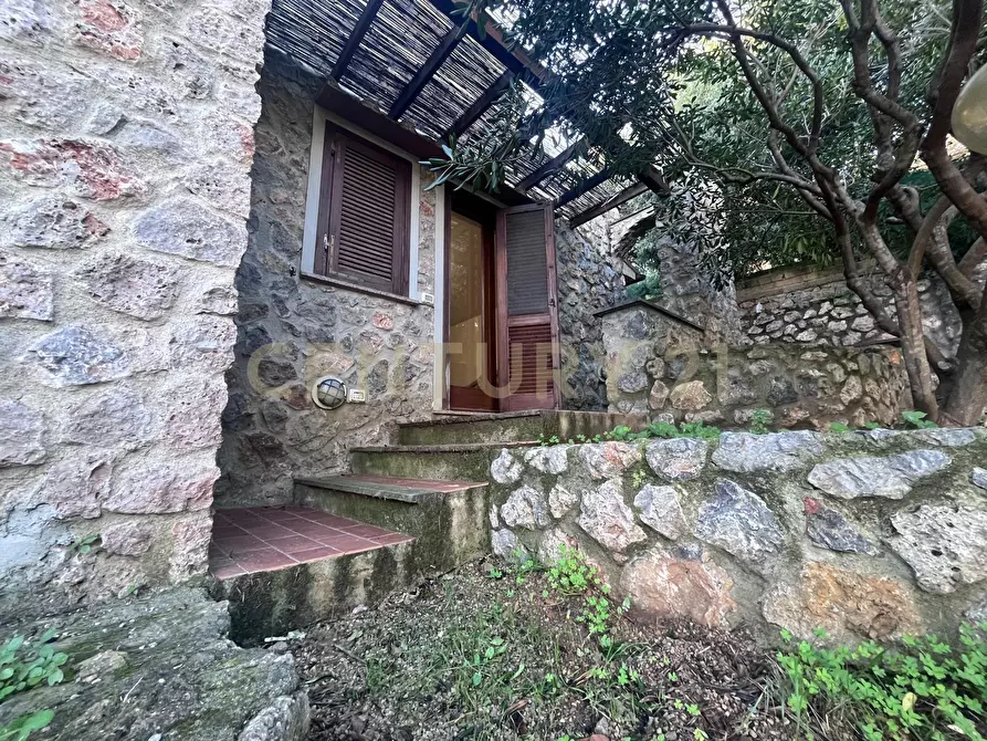 Immagine 46 di Villa in vendita  in Via delle Ginestre 80 a Orbetello