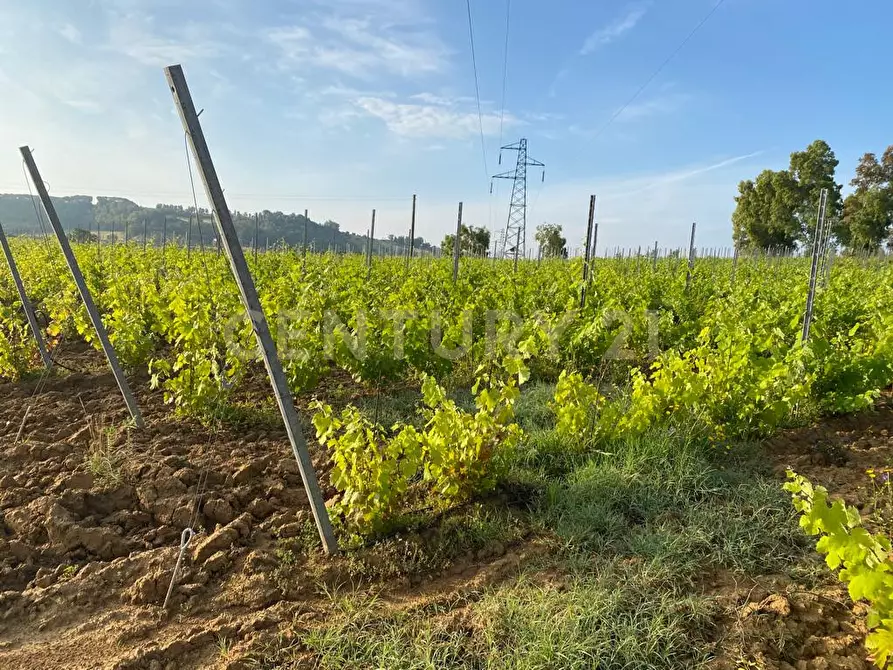 Immagine 32 di Rustico / casale in vendita  a Gavorrano
