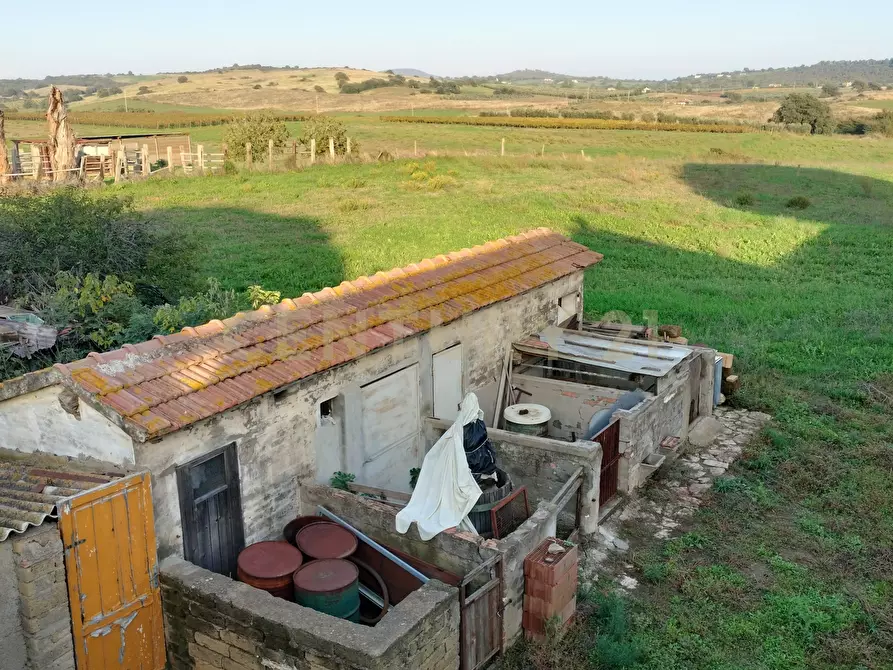 Immagine 6 di Casa bifamiliare in vendita  in Strada Cava del Gesso 2 a Capalbio