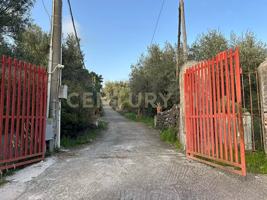 Immagine 4 di Terreno agricolo in vendita  in Via Giovanni Verga 1/A a Misterbianco