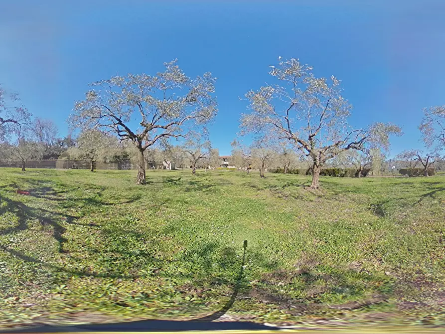 Immagine 48 di Villa in vendita  in Strada Comunale Calderara 5 a Randazzo