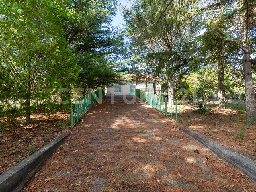 Immagine 5 di Villa in vendita  in Contrada Scolaro Cisterna a Adrano