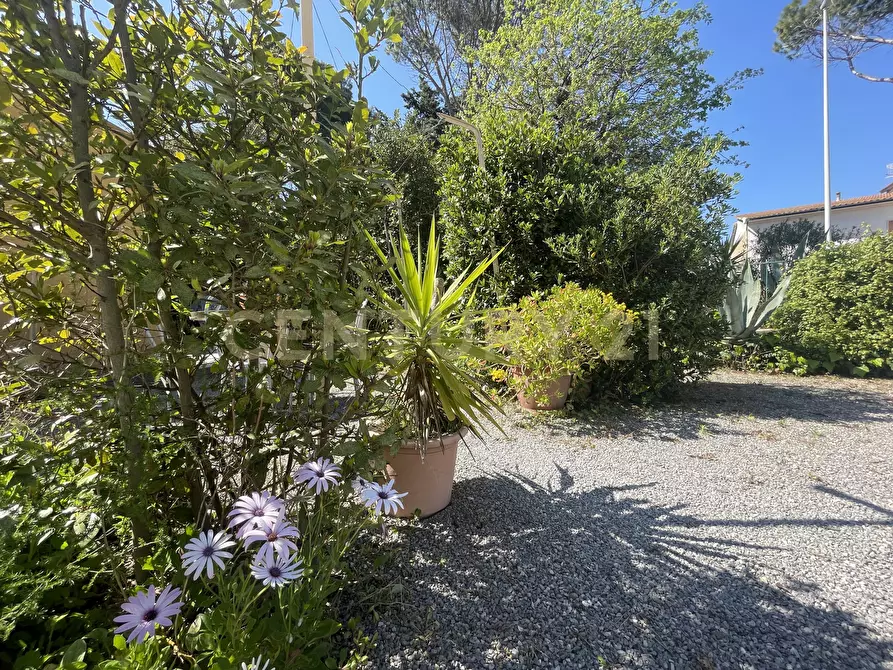 Immagine 12 di Porzione di casa in vendita  in Strada Vicinale dei Bagnacci 1 a Orbetello