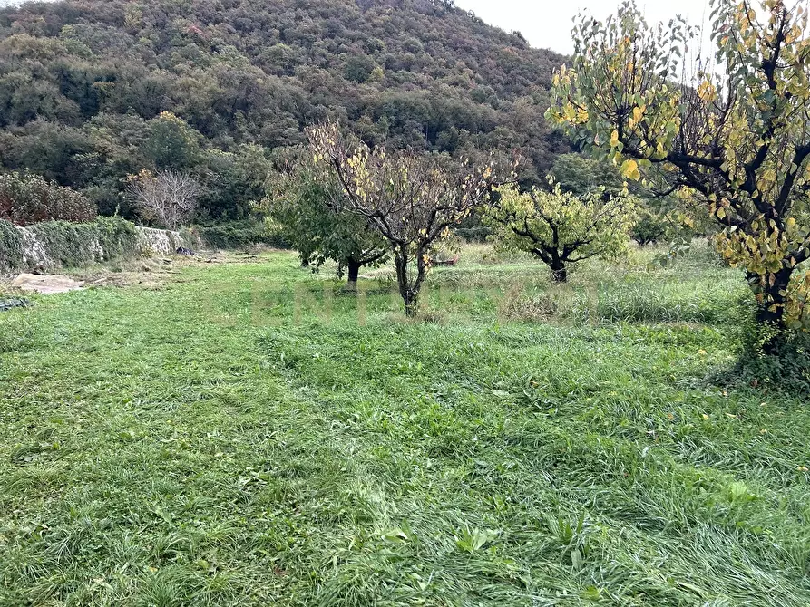 Immagine 36 di Rustico / casale in vendita  in Via Squaranto 6 a Verona