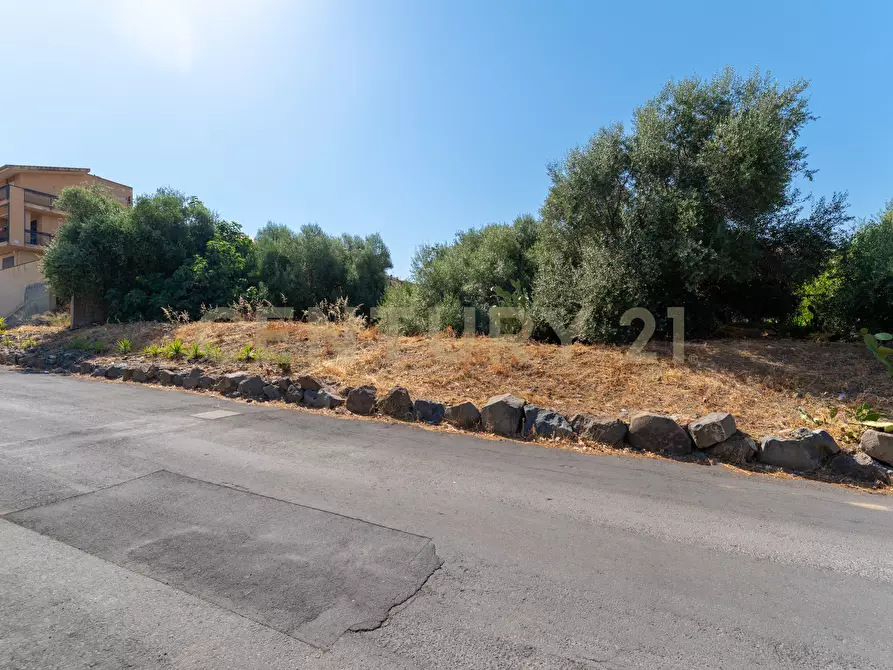 Immagine 7 di Terreno industriale in vendita  in Vico Igino Giordani 43 a Paterno'