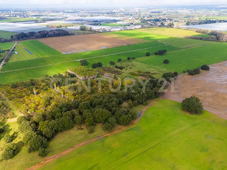 terreno agricolo in vendita a Nettuno
