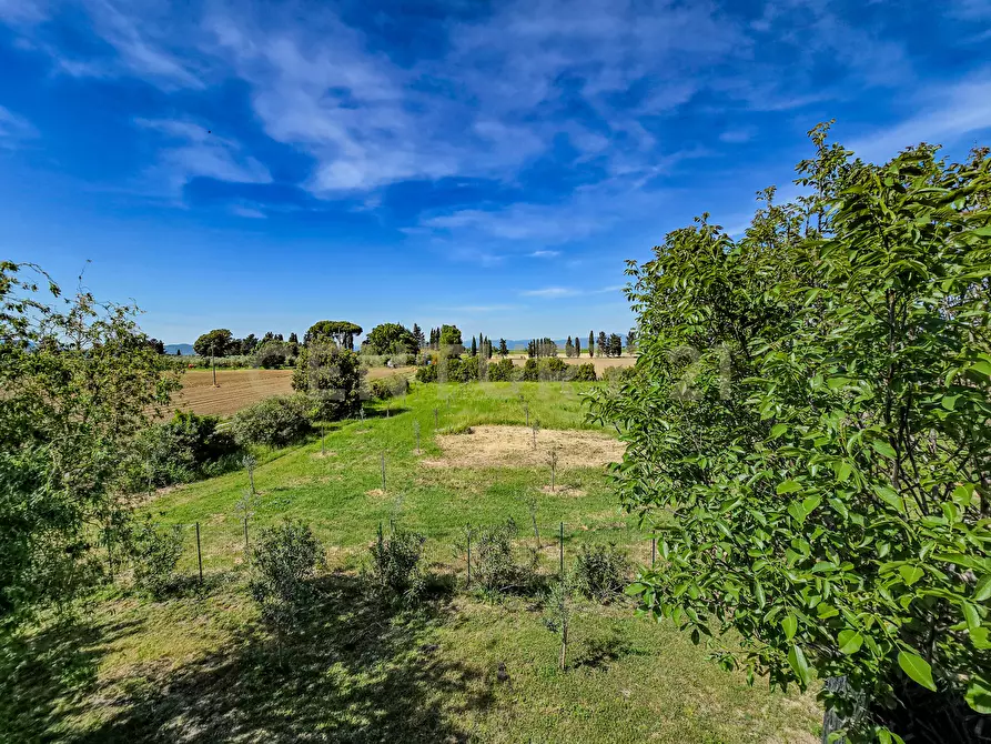 Immagine 7 di Rustico / casale in vendita  in Strada Comunale di Montalcino 65 a Castiglione Della Pescaia