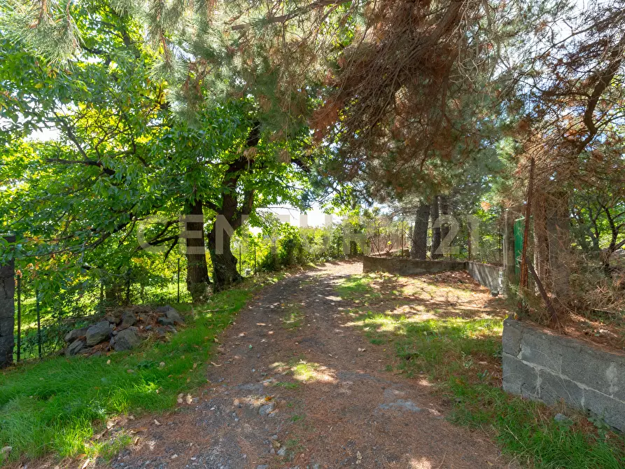 Immagine 3 di Villa in vendita  in Contrada Scolaro Cisterna a Adrano