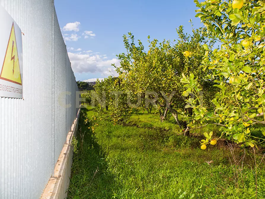 Immagine 17 di Terreno agricolo in vendita  in Via San Piero Patti 108 a Acireale