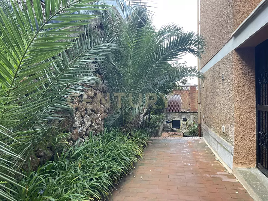 Immagine 30 di Trilocale in vendita  in Via del Solevia del sole a Monte Argentario