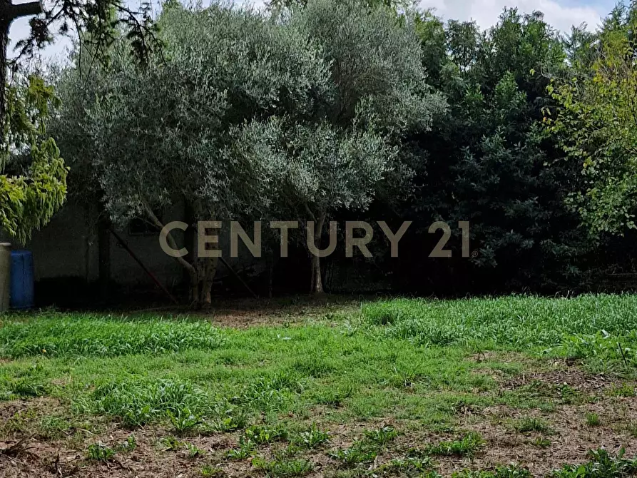 Immagine 27 di Casa indipendente in vendita  in via cavetto di mezzo 20 a Castelnovo Bariano