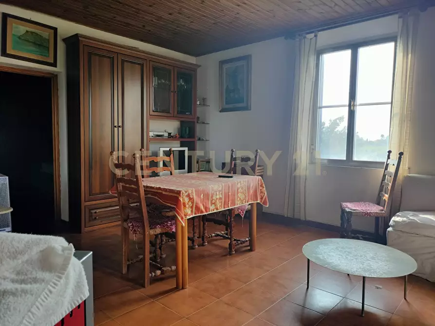 Immagine 23 di Rustico / casale in vendita  in Strada Pedemontana a Capalbio