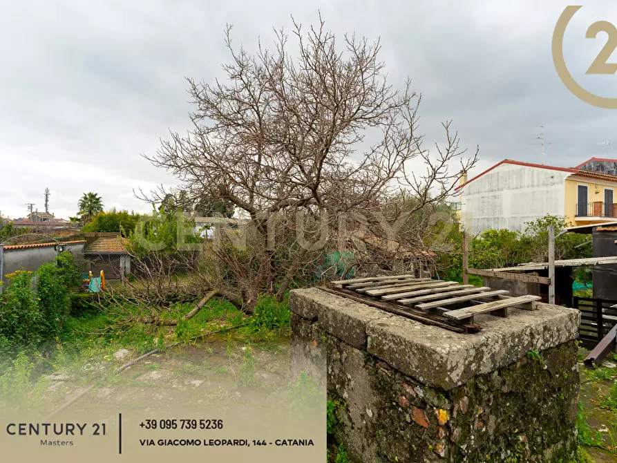 Immagine 6 di Rustico / casale in vendita  in Via Alessandro Manzoni 152 a Viagrande