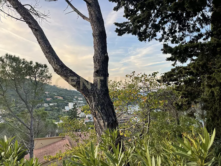 Immagine 30 di Porzione di casa in vendita  in Via Costa degli Ulivi a Monte Argentario