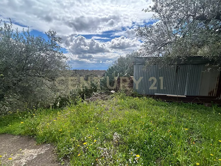 Immagine 11 di Terreno edificabile in vendita  in Viale Giovanni Falcone 9 a Camporotondo Etneo