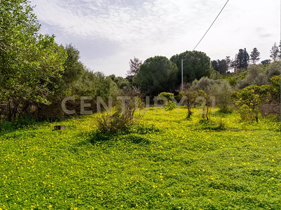 Immagine 14 di Terreno agricolo in vendita  in Contrada Vaccarizzo a Catania
