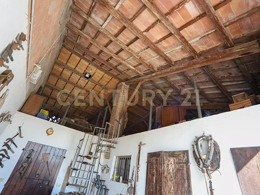 Immagine 27 di Rustico / casale in vendita  in Via Trento 70 a Minerbe