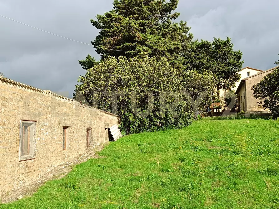 Immagine 20 di Casa indipendente in vendita  in località le croste snc a Manciano