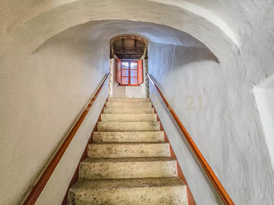 Immagine 14 di Villa in vendita  in Località Poggio Murella 68 a Manciano