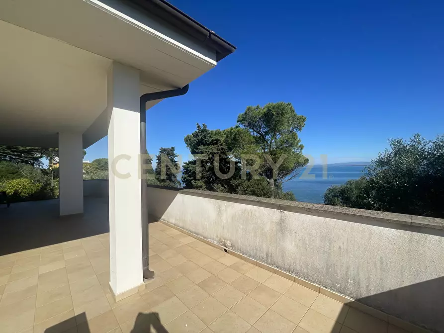 Immagine 6 di Villa in vendita  in località santa liberata a Monte Argentario