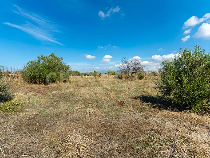 Immagine 8 di Terreno agricolo in vendita  in Via Margarone 5 a Motta Sant'anastasia