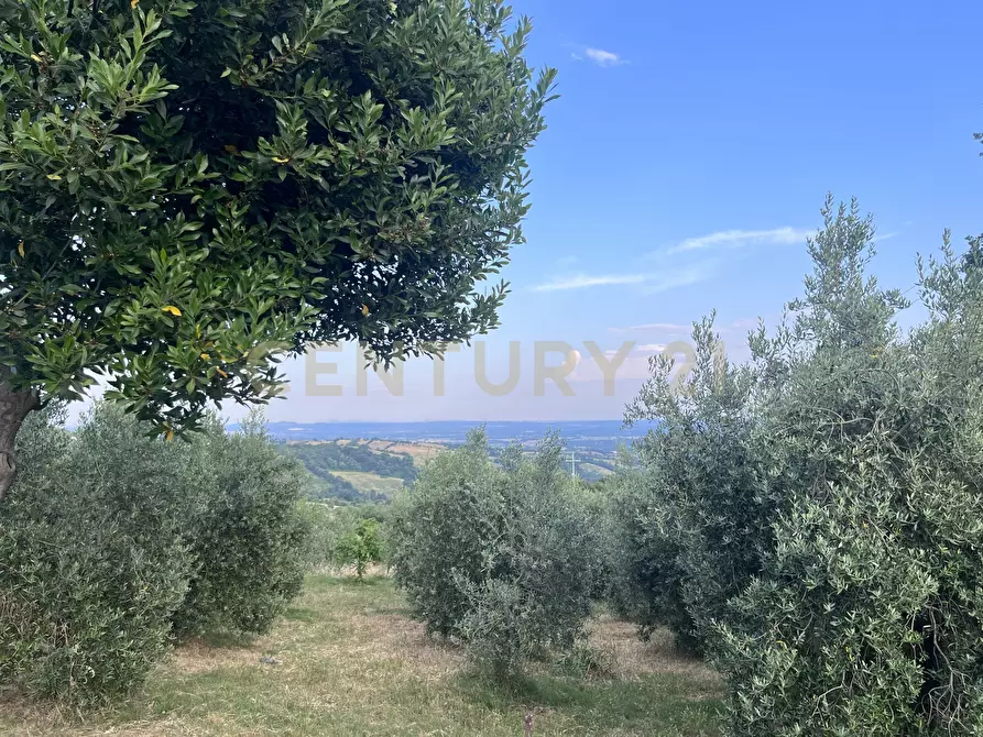 Immagine 30 di Rustico / casale in vendita  in Località Poggio Murella 280 a Manciano