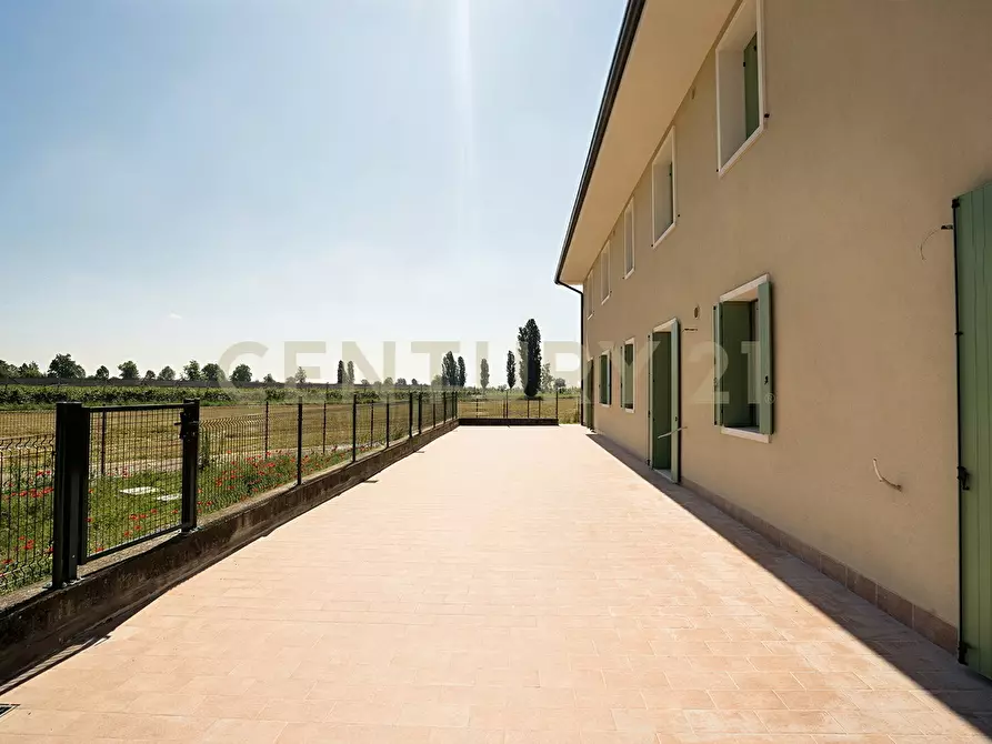 Immagine 19 di Bilocale in vendita  in Via Toffanelle Nuove a Zevio