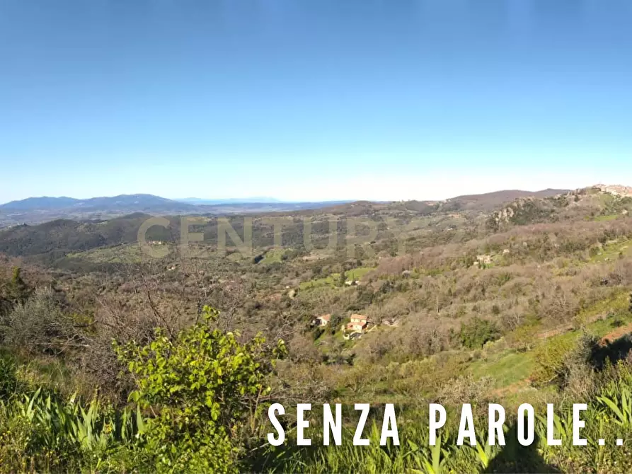 Immagine 1 di Rustico / casale in vendita  a Roccastrada